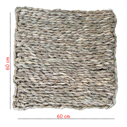 KUSHA AASAN for Murti, HavanKund, Idols, Temple Murti