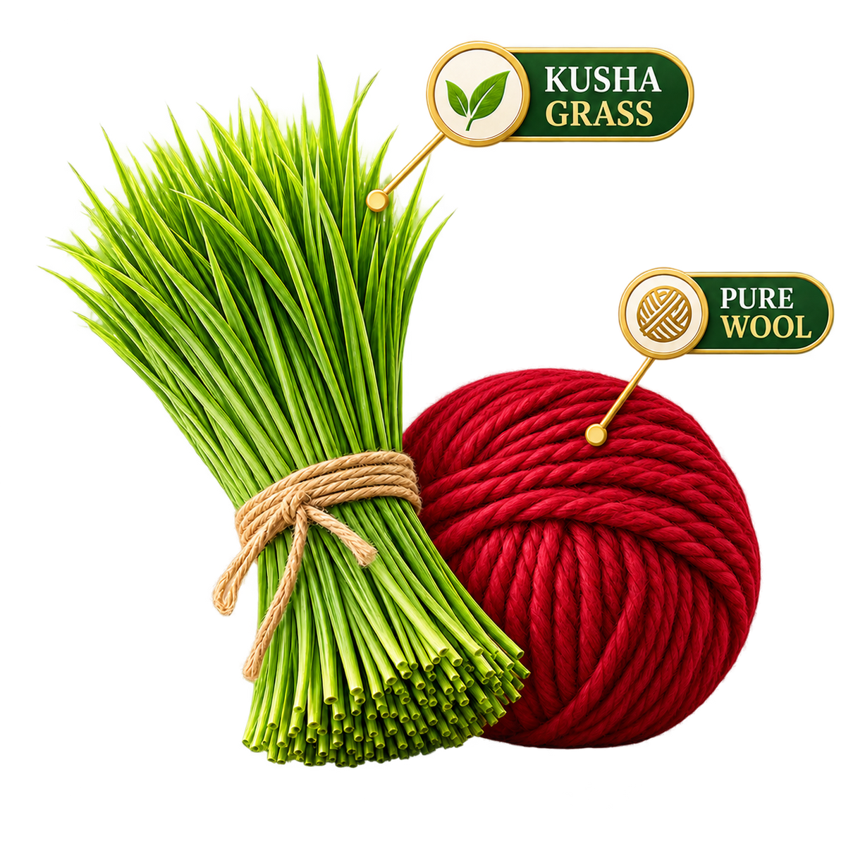 Kusha grass Aasan