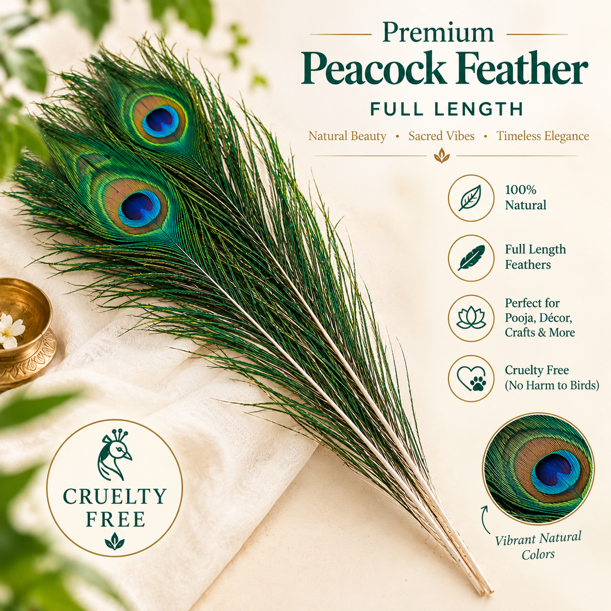 Naturally Shred Original Peacock Feather, Mor Pankh Tails Full Size