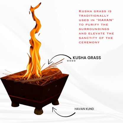 Pure Kusha Grass for Puja and Havan (Dried 250 Grams)